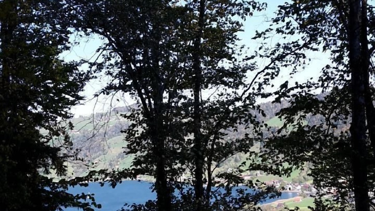 Photo of Others in Unterageri