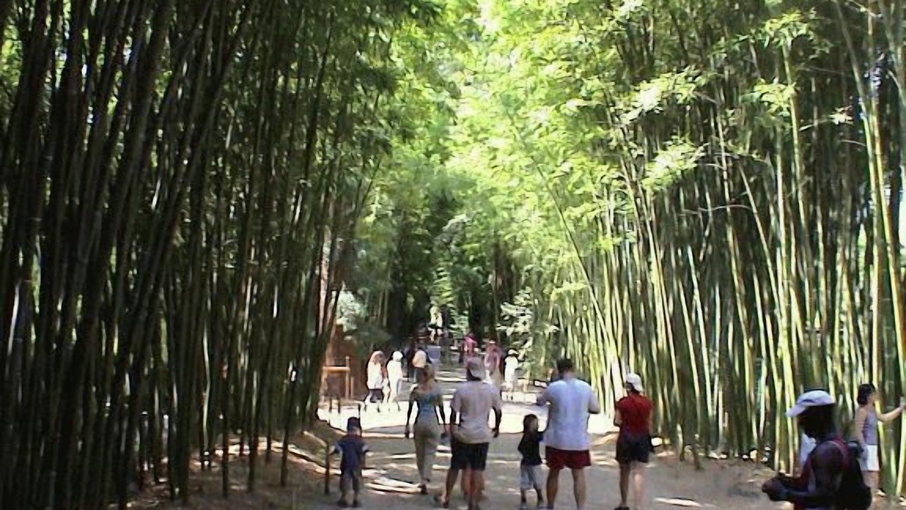 Photo of Outdoor in Barjac