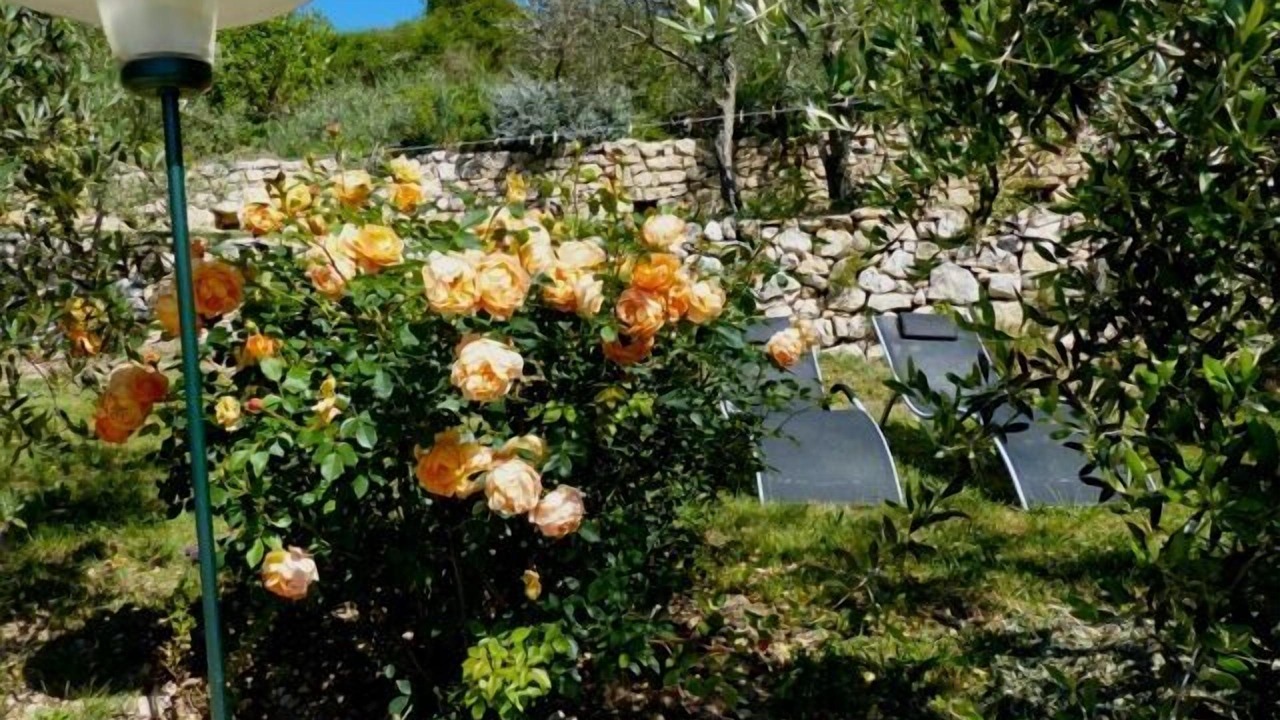 Photo of Outdoor in Montclus