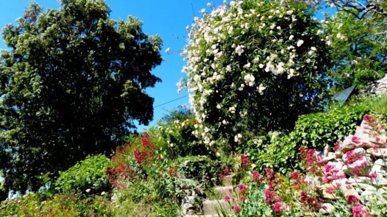 Photo of Outdoor in Montclus