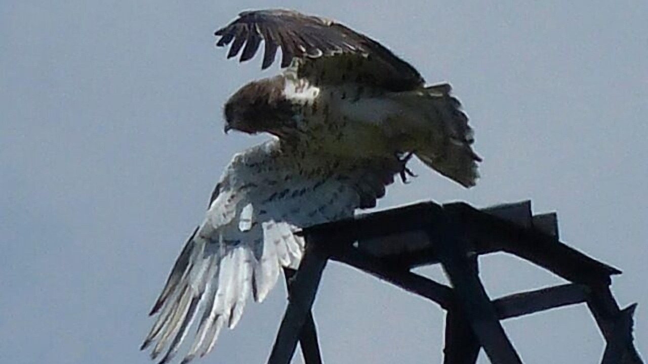 Photo of Others in Montclus