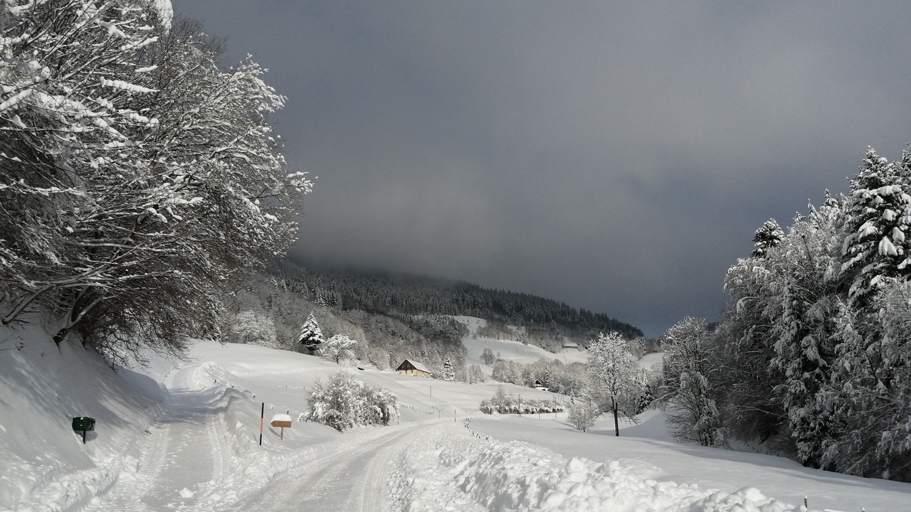 Photo of Others in Le Bonhomme