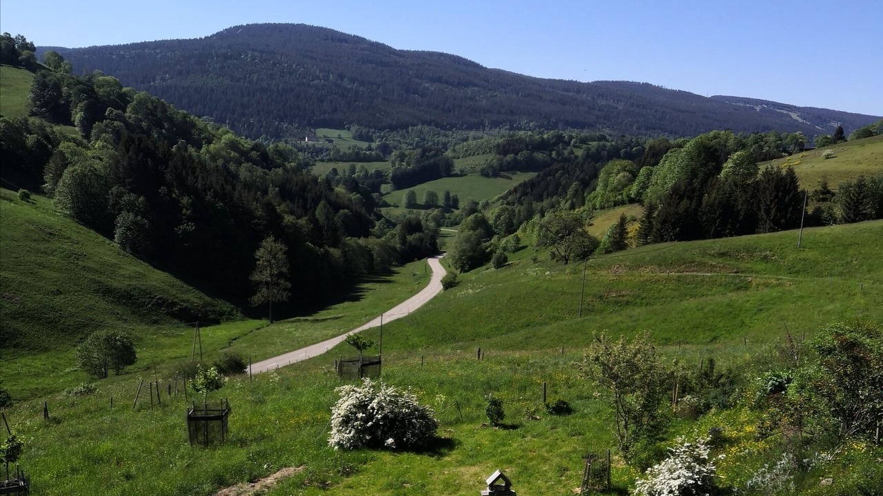 Photo of Outdoor in Le Bonhomme