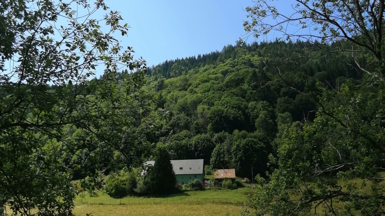 Photo of Others in Le Bonhomme