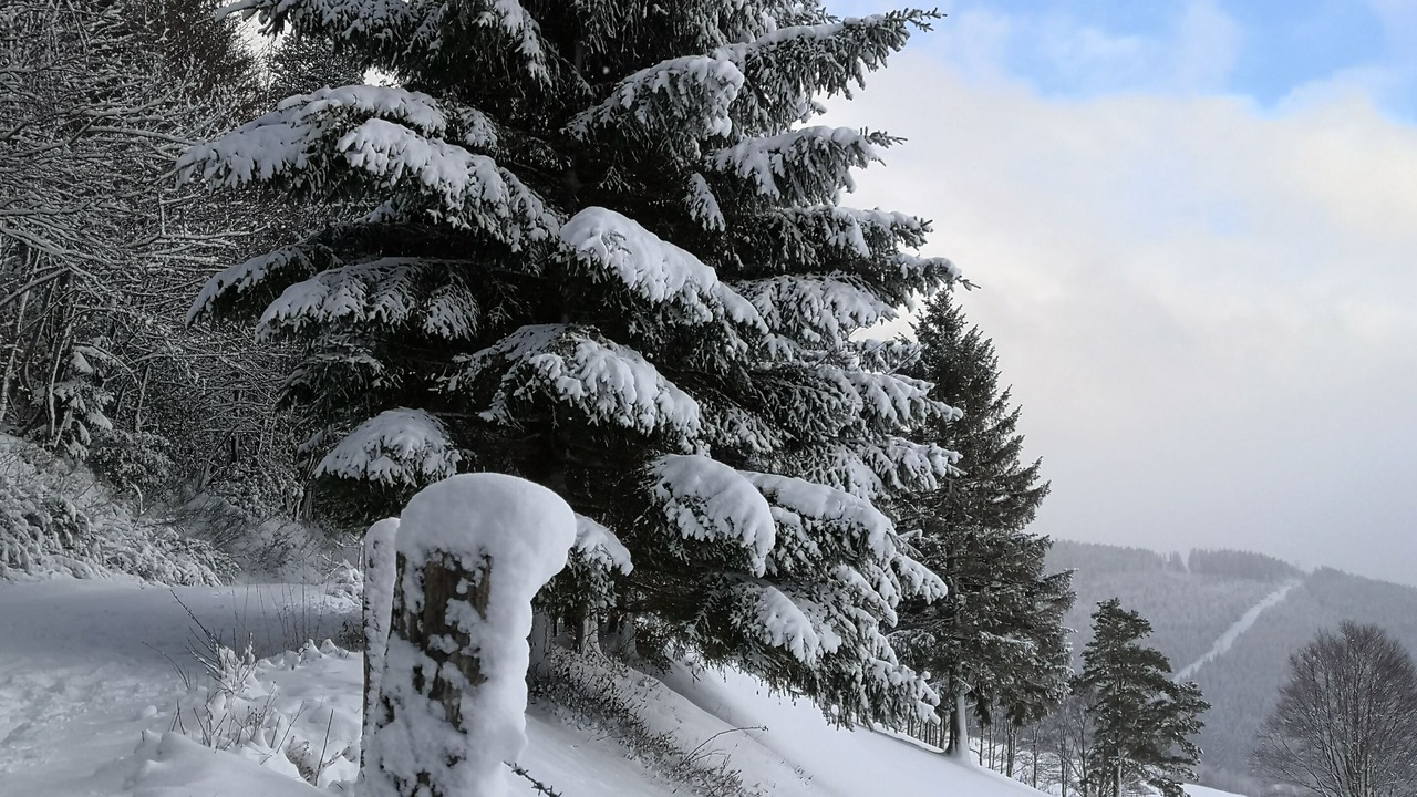 Photo of Outdoor in Le Bonhomme