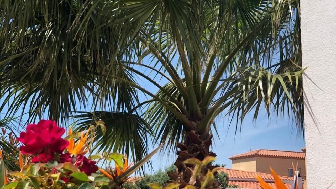 Photo of Outdoor in Les Tres Cales