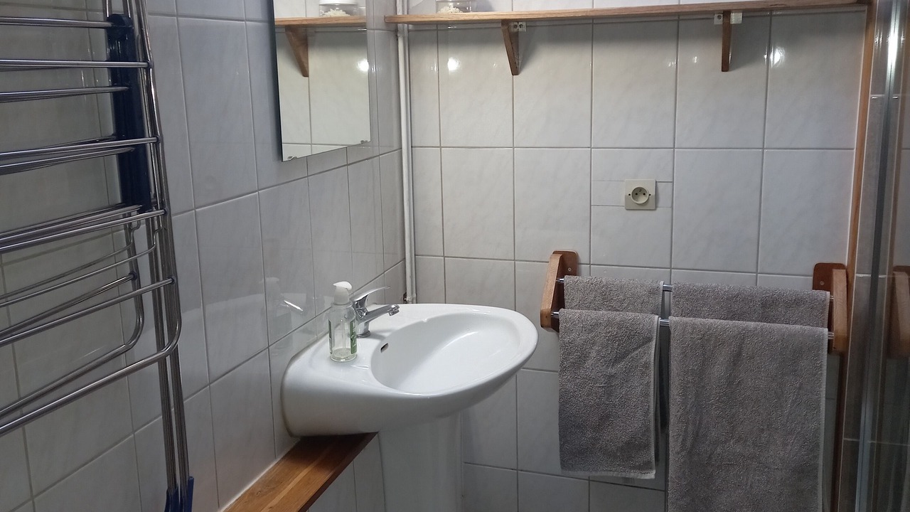 Photo of Bathroom in Campan