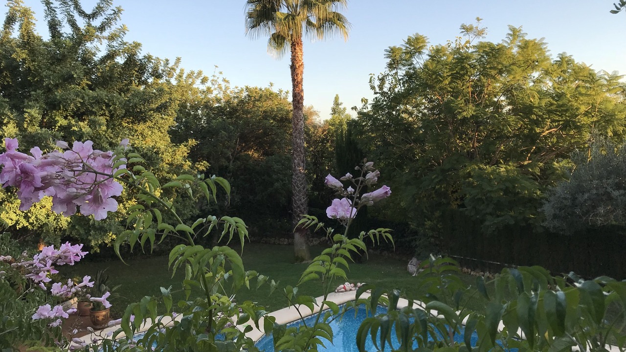 Photo of Outdoor in Montgo de Toscamar