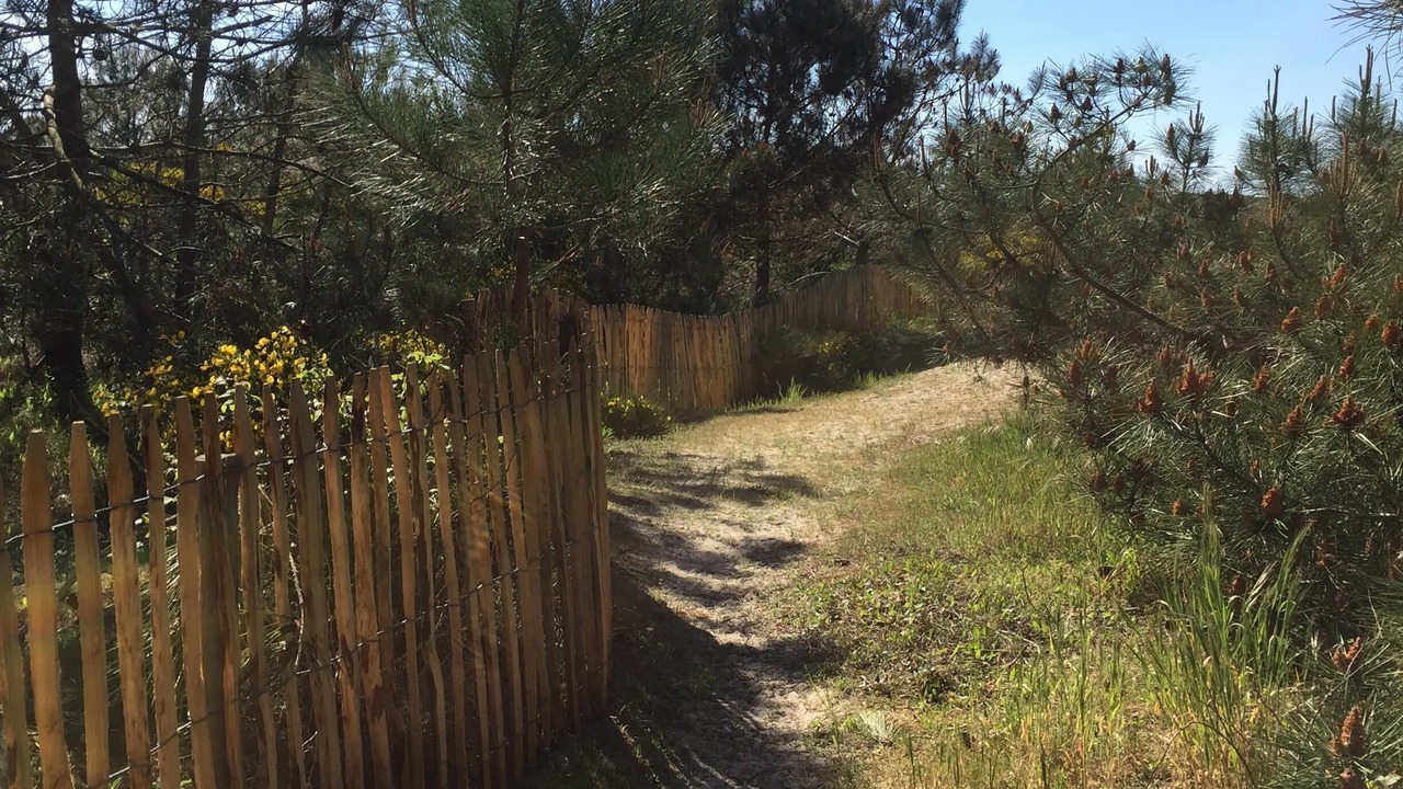 Photo of Others in Vendays-Montalivet