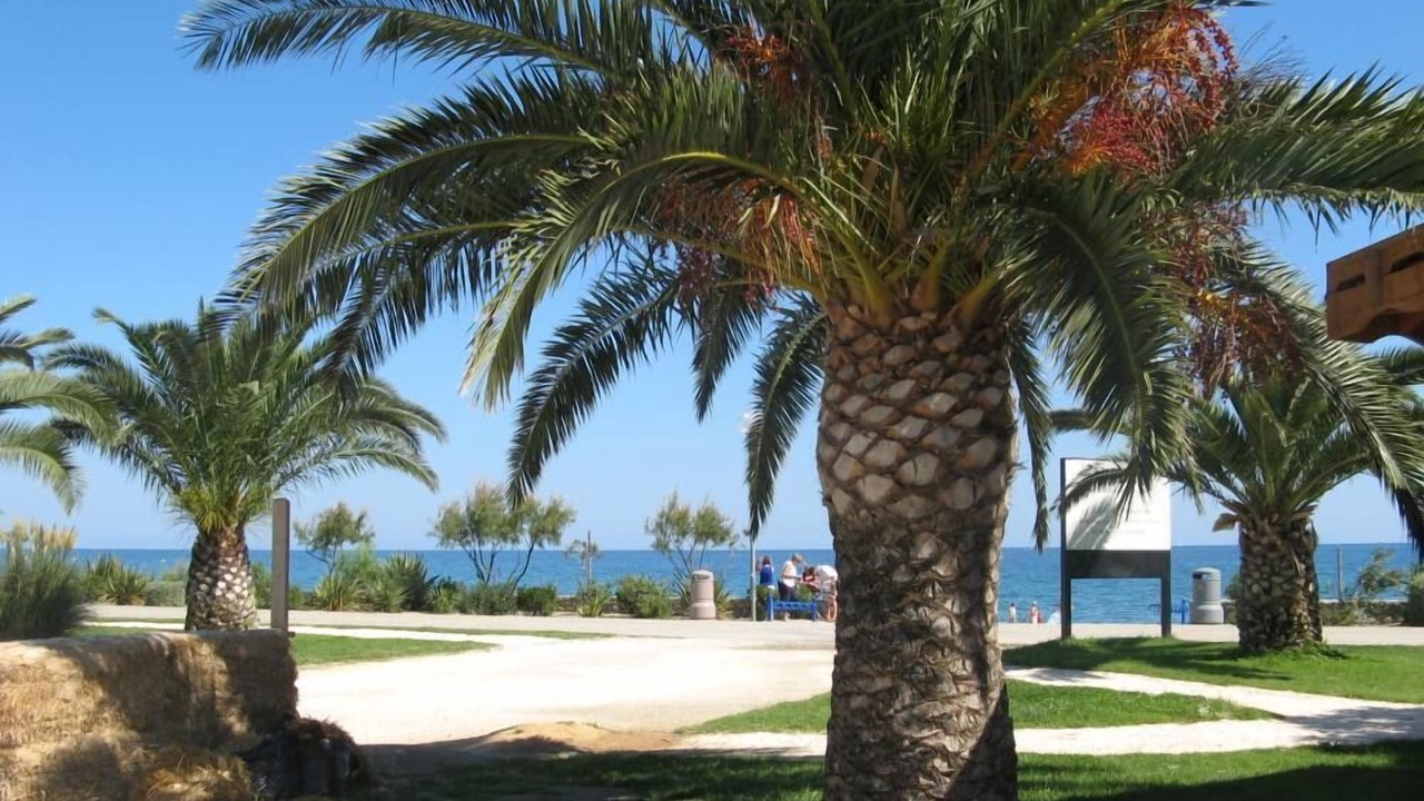 Photo of Outdoor in Plage d'Argeles