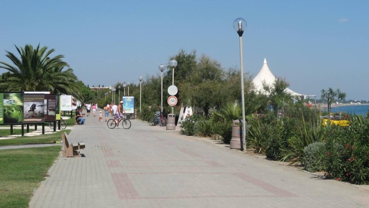 Photo of Outdoor in Plage d'Argeles