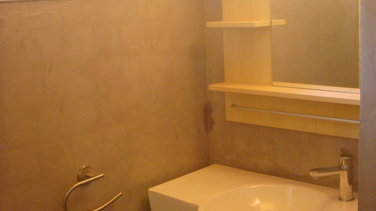 Photo of Bathroom in Luz-Saint-Sauveur