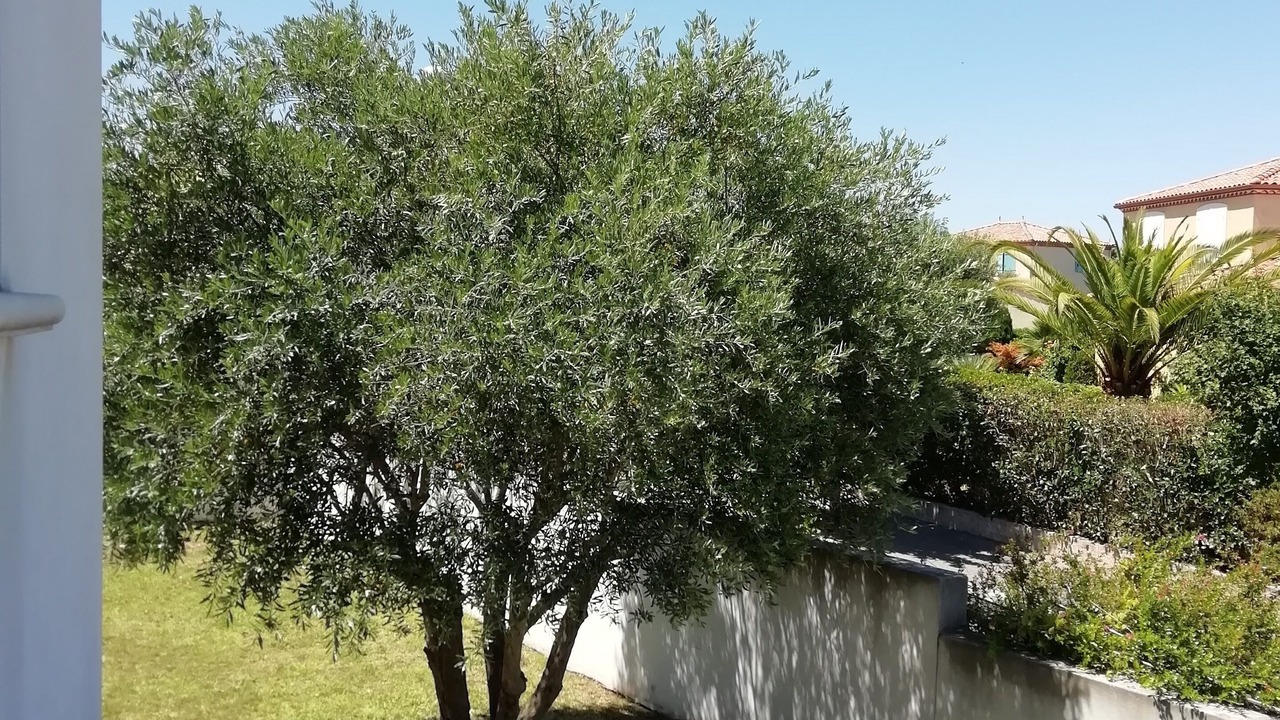 Photo of Outdoor in Beziers