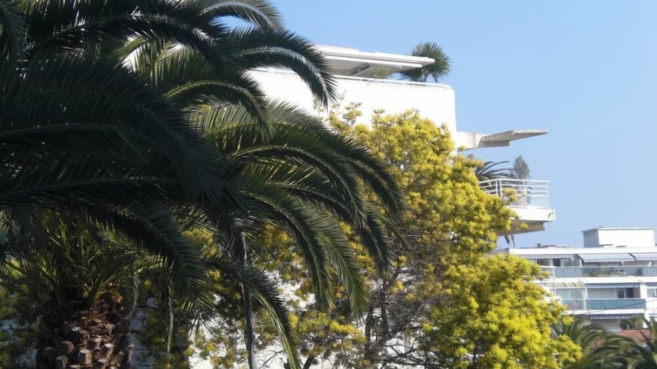 Photo of Outdoor in Golfe Juan