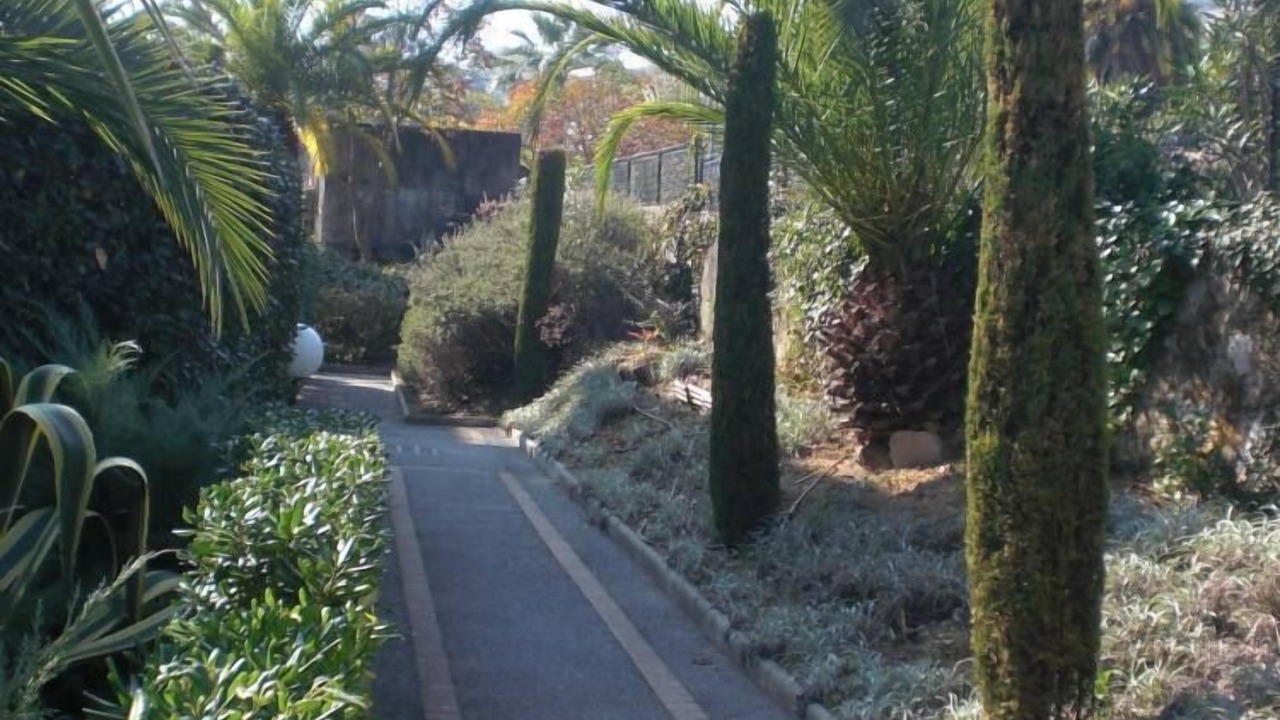 Photo of Outdoor in Golfe Juan