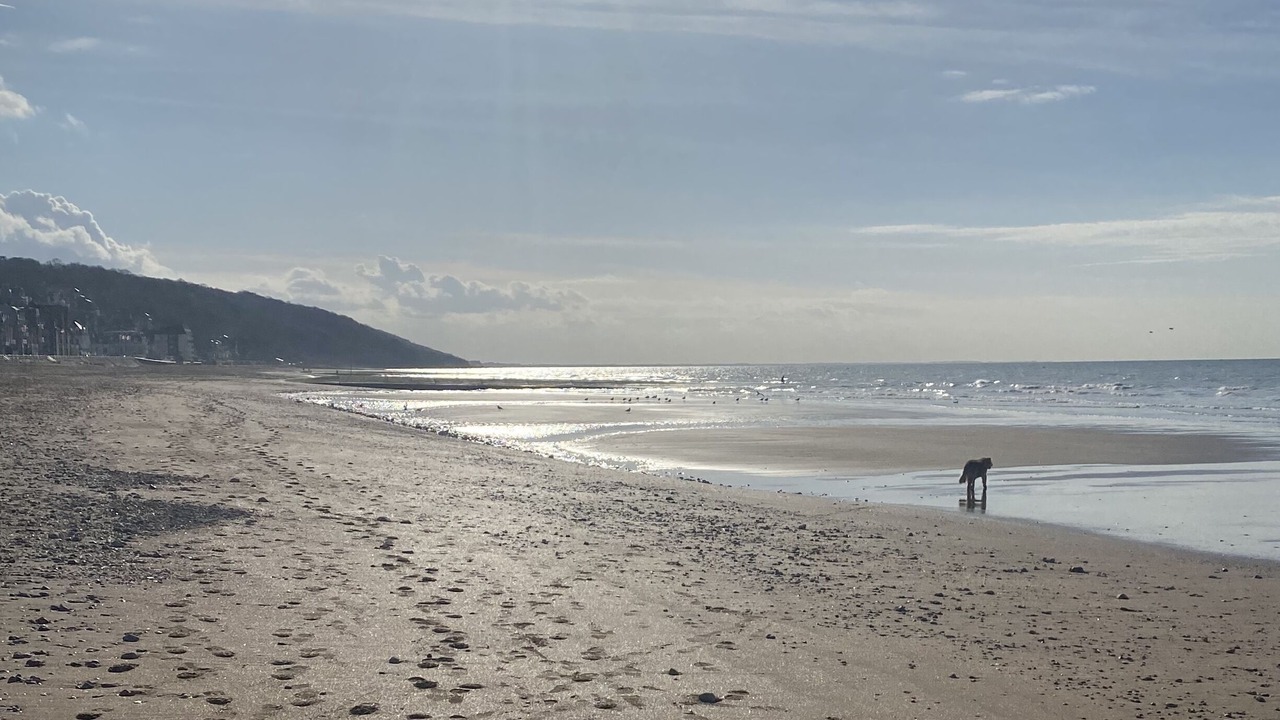 Photo of Others in Villers-sur-Mer
