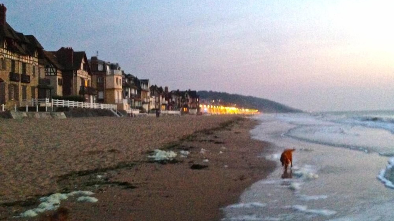 Photo of Others in Villers-sur-Mer