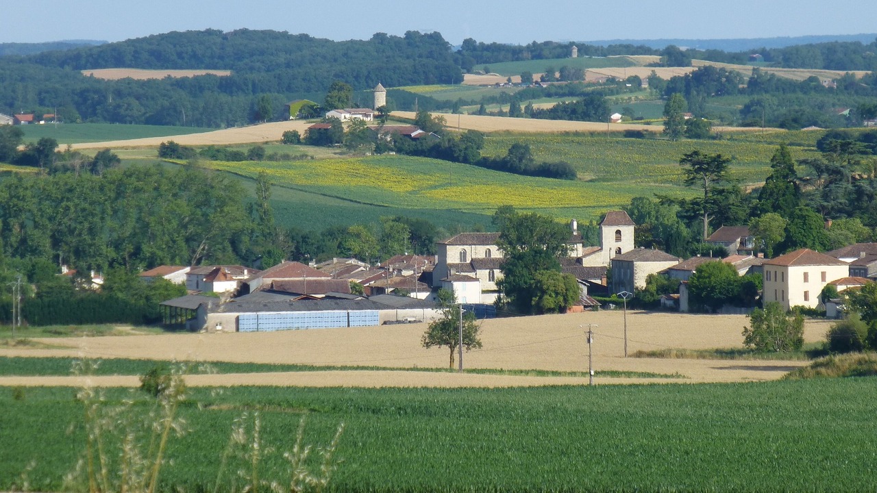 Photo of Others in Seyches