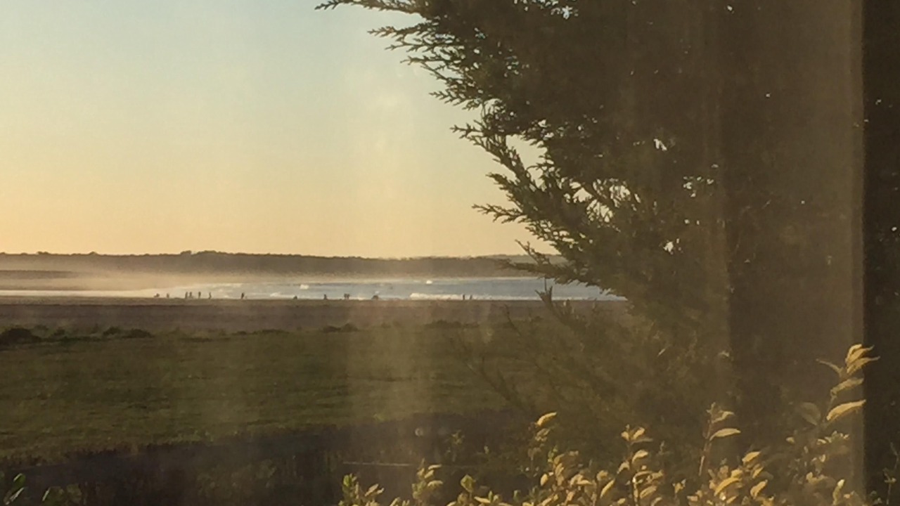 Photo of Others in Dunbar