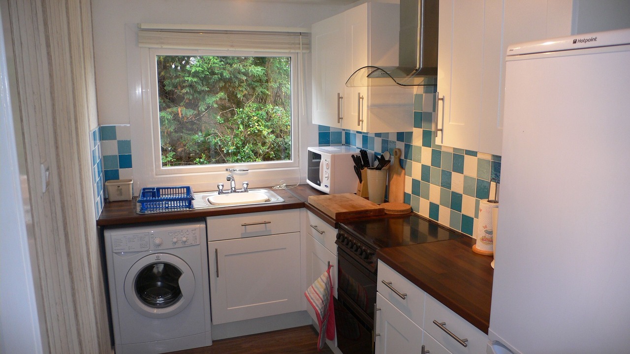 Photo of Others in Dunbar