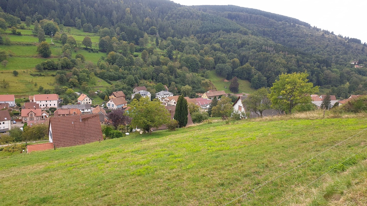Photo of Outdoor in Natzwiller