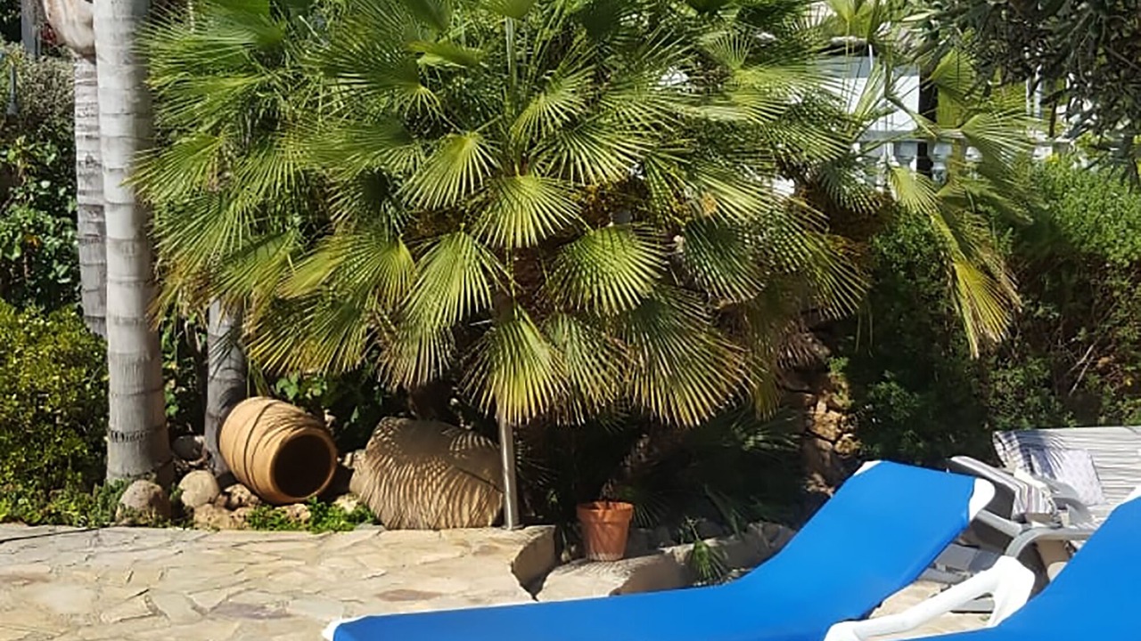 Photo of Others in La Canyada dels Pins