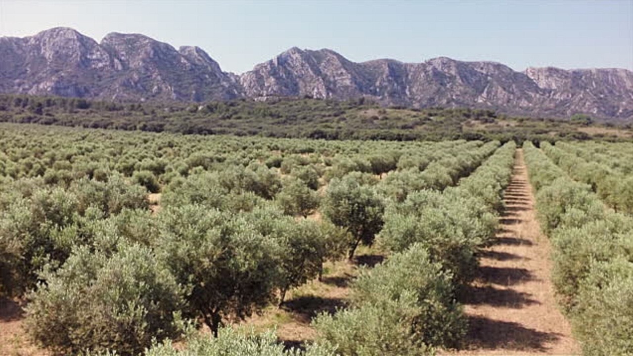 Photo of Outdoor in Mouries