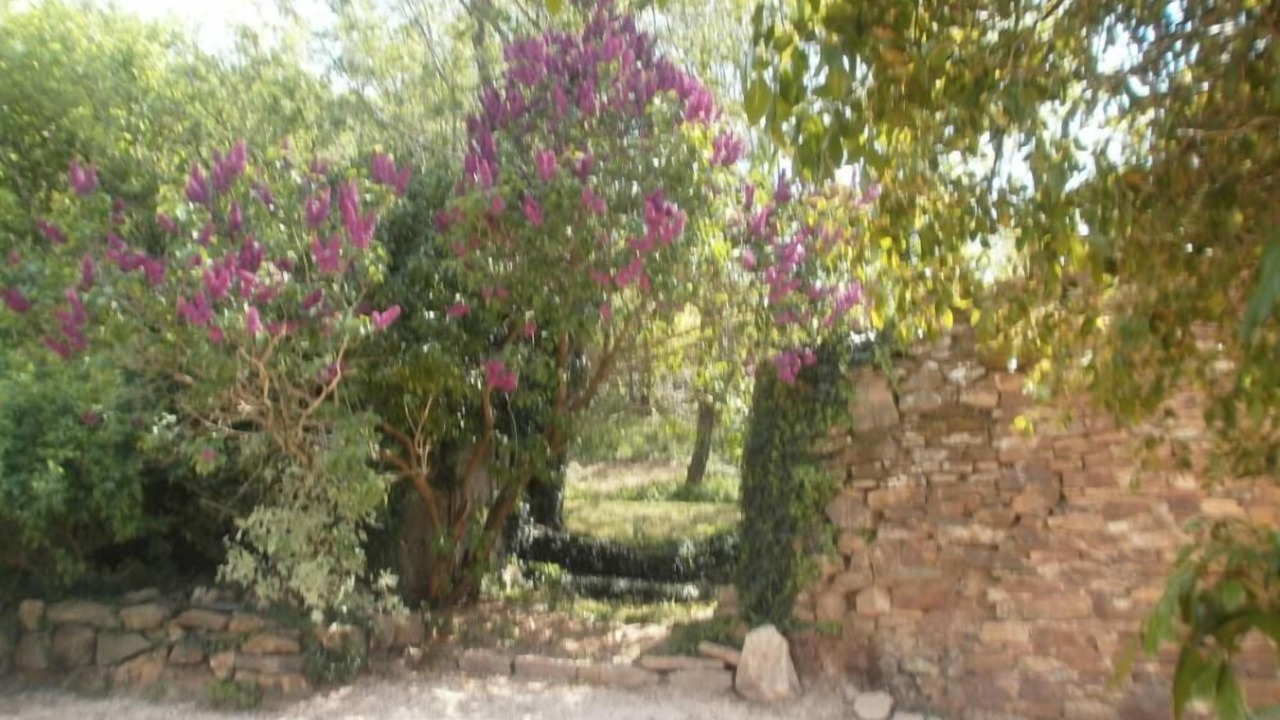 Photo of Outdoor in Brousse-le-Chateau