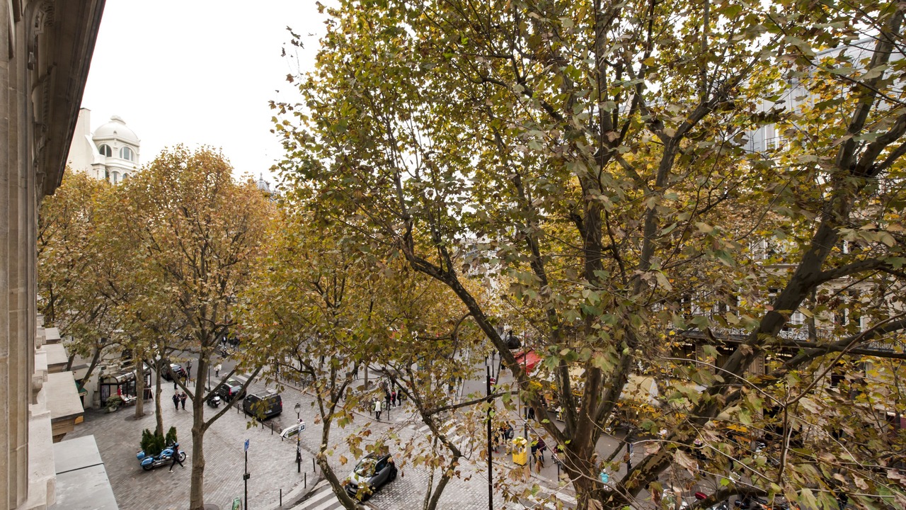 Photo of Others in Quartier de la Monnaie