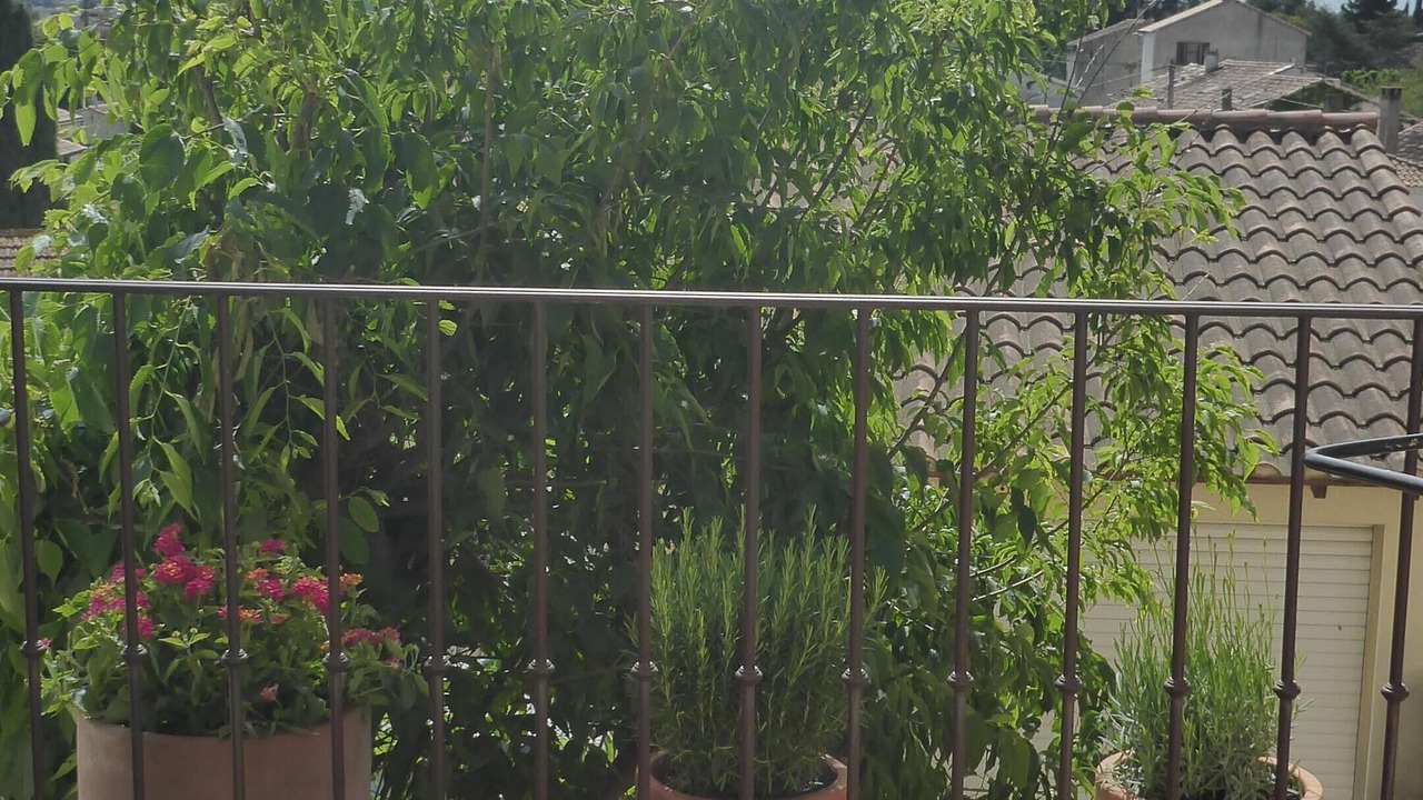 Photo of Patio Balcony in Arles