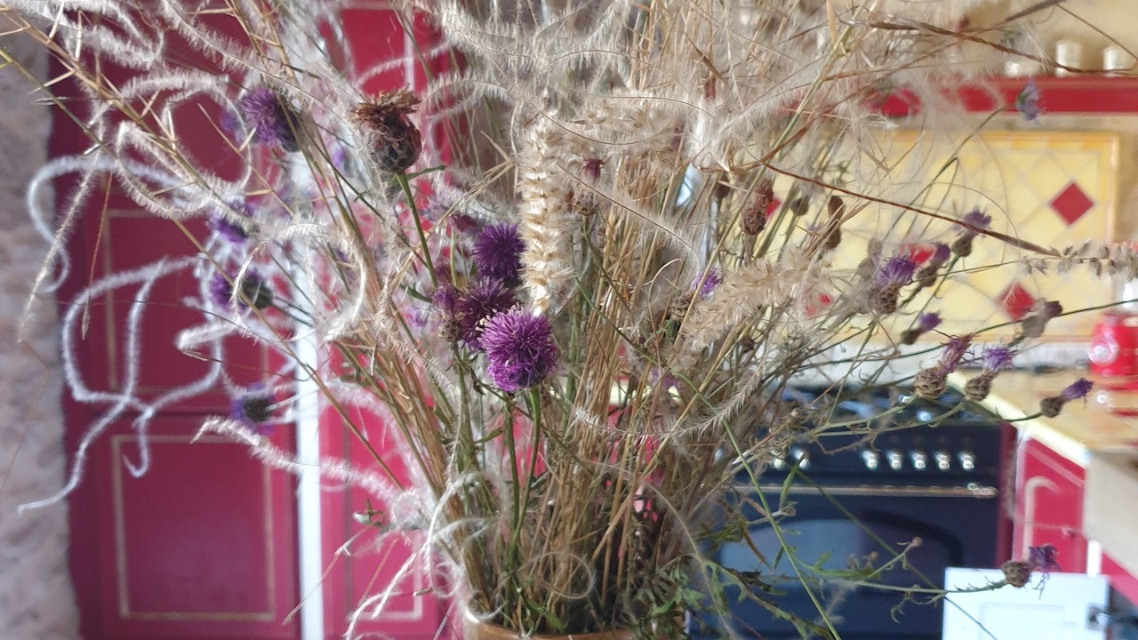 Photo of Others in La Malene