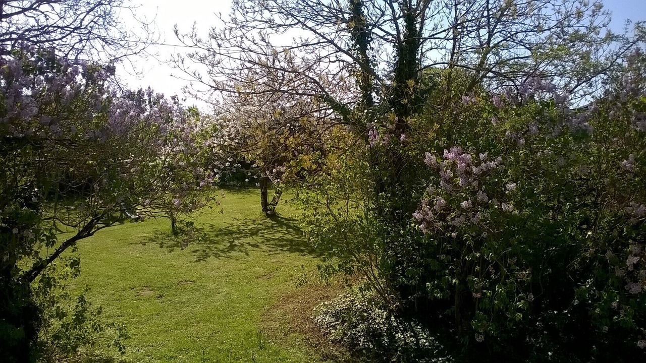 Photo of Outdoor in Jullouville