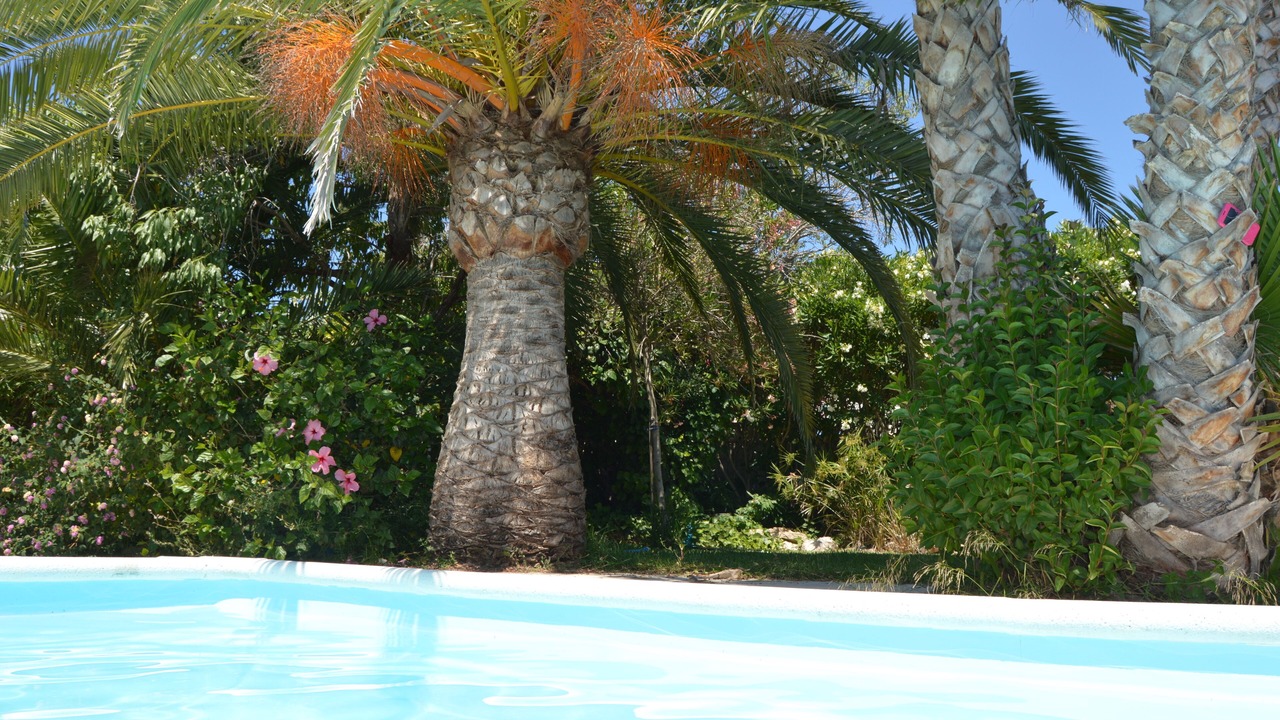 Photo of Outdoor in Los Cerezos