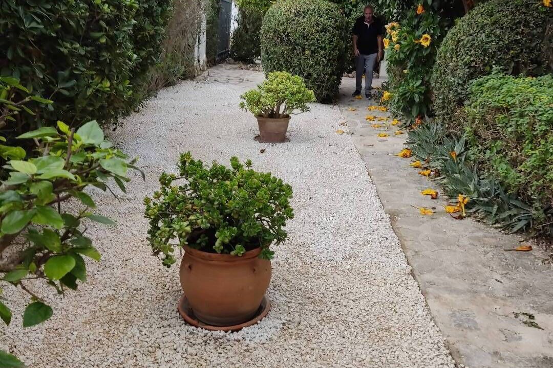 Photo of Outdoor in Los Cerezos
