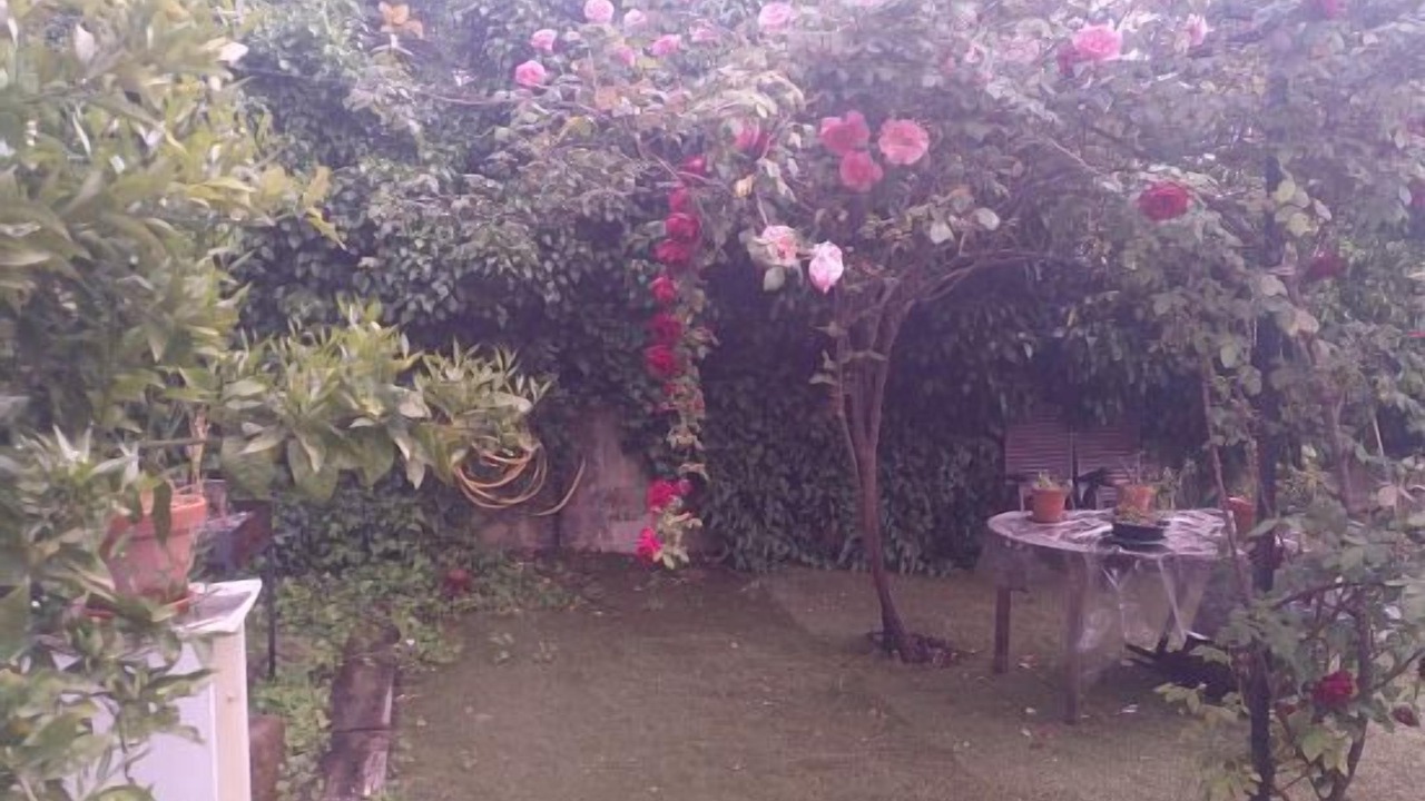 Photo of Outdoor in Jarandilla de la Vera