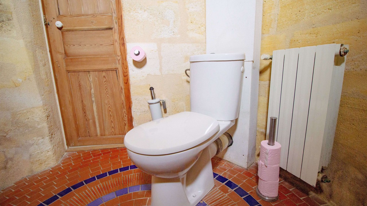 Photo of Bathroom in Langoiran