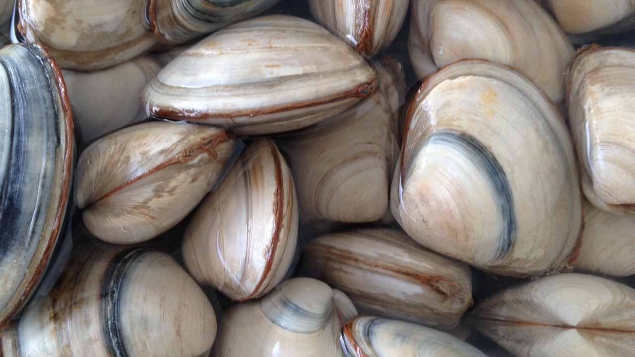 Photo of Others in Noirmoutier-en-l'Ile