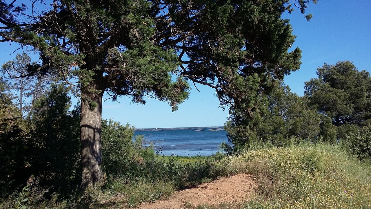 Photo of Others in Meze