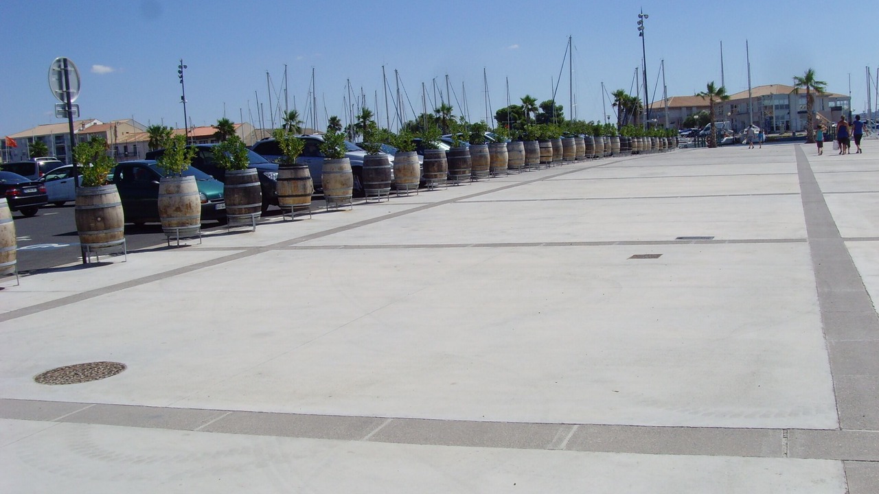 Photo of Others in Meze