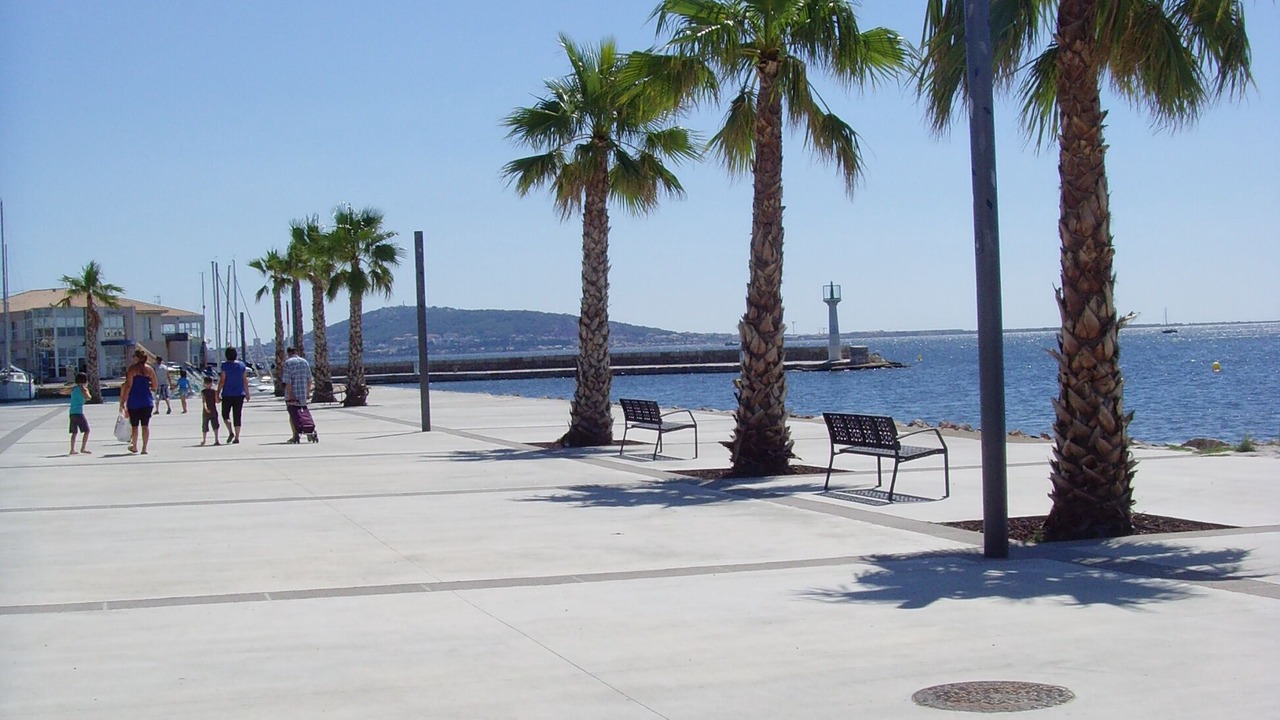 Photo of Others in Meze