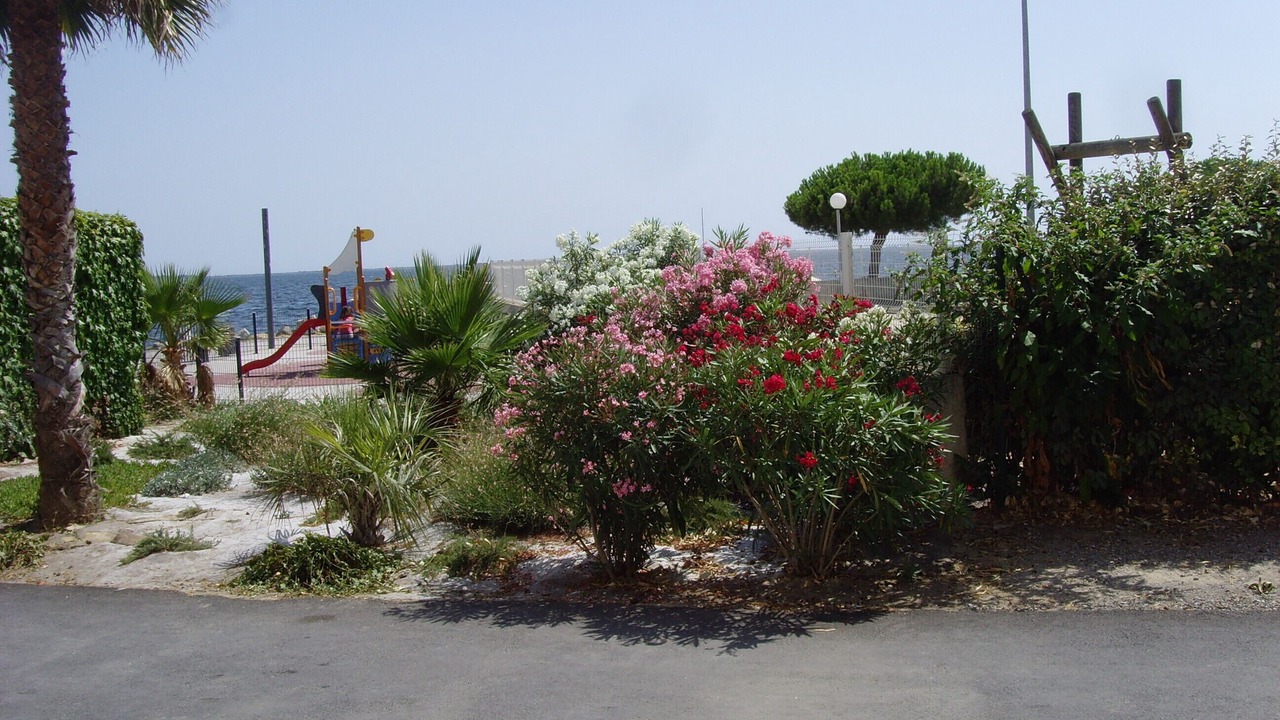 Photo of Patio Balcony in Meze