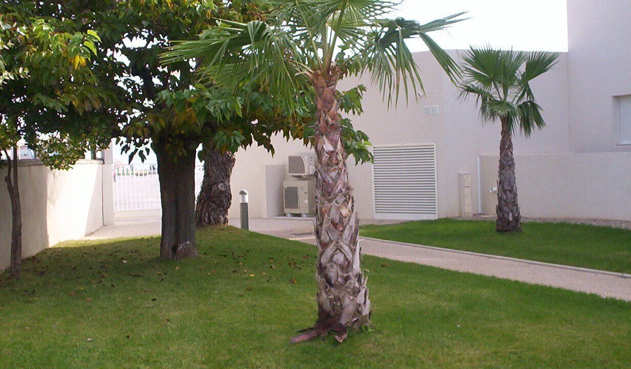 Photo of Others in Meze