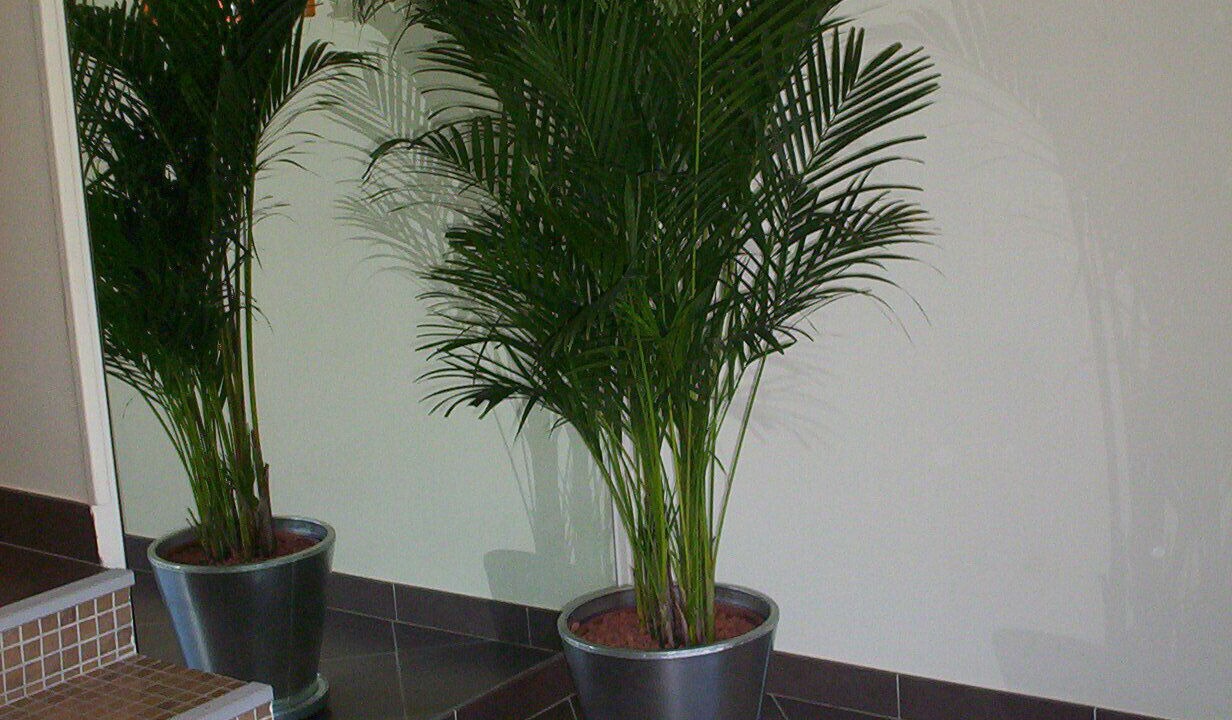 Photo of Others in Meze