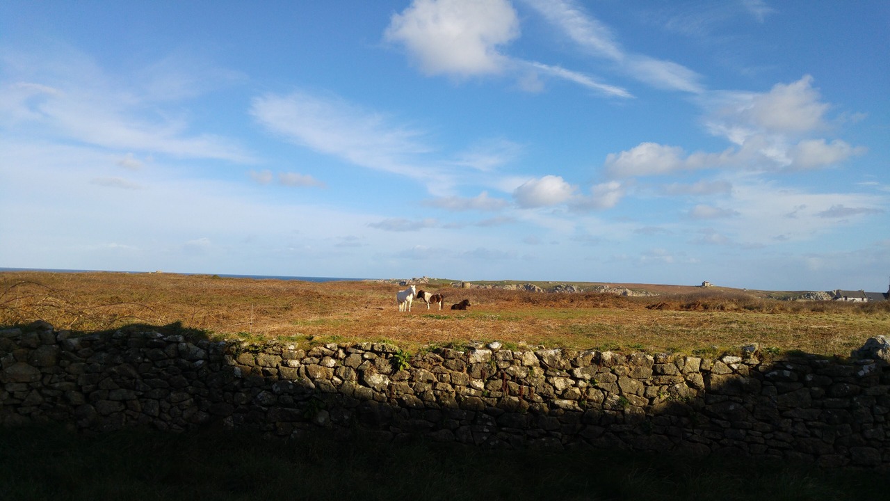 Photo of Outdoor in Ushant