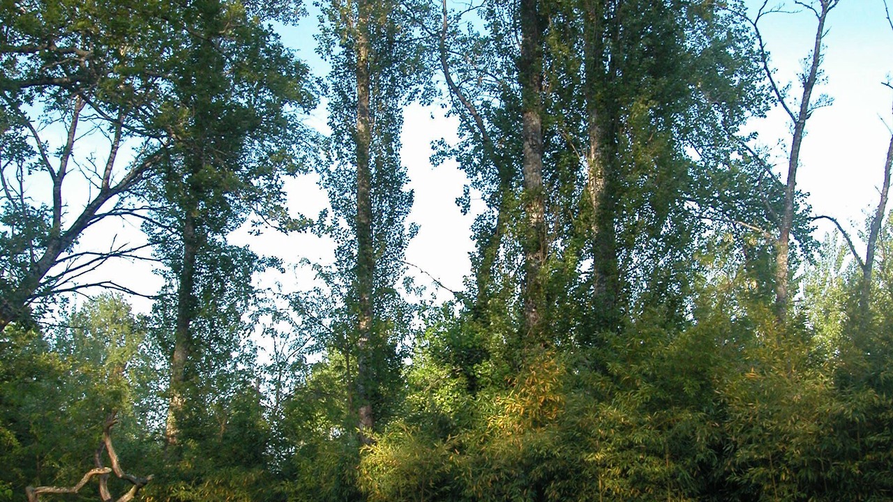 Photo of Outdoor in Poudenas