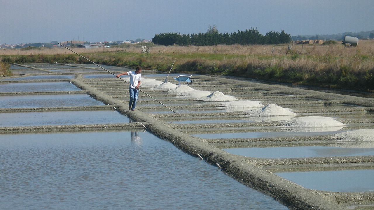 Photo of Others in Barbatre