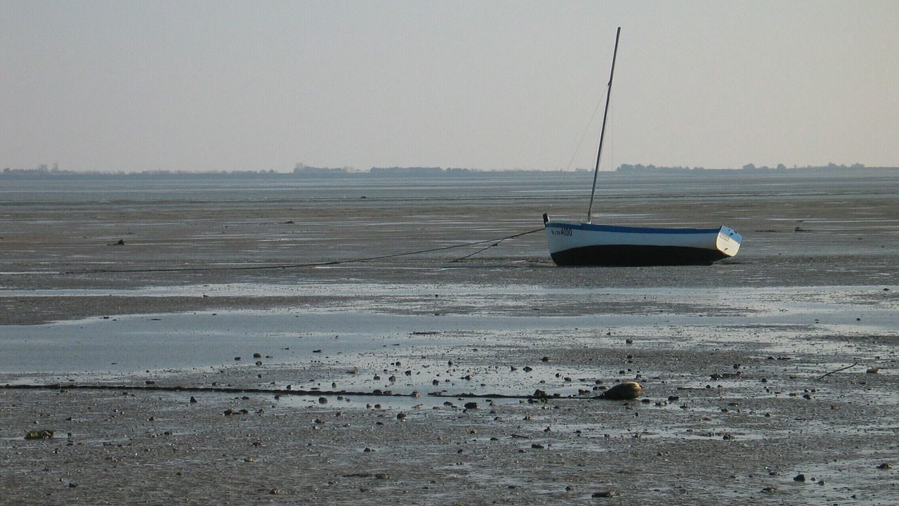 Photo of Others in Barbatre