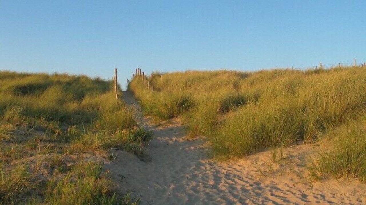 Photo of Outdoor in Barbatre
