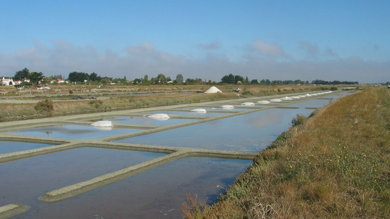 Photo of Others in Barbatre