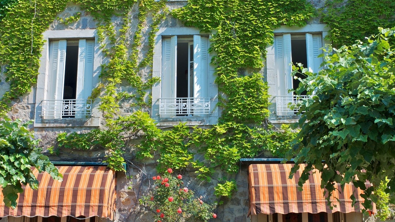 Photo of Outdoor in Michard-Est